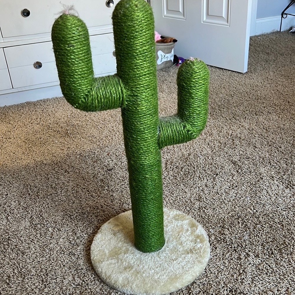 Cactus cat scratcher